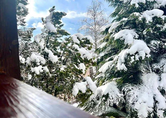 Chalet Terme